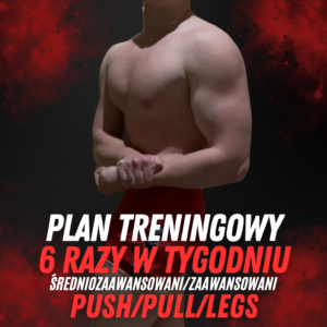Plan treningowy Push/Pull/Legs 6x w tygodniu